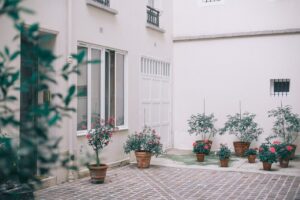 House decorated with potted flowers and plants